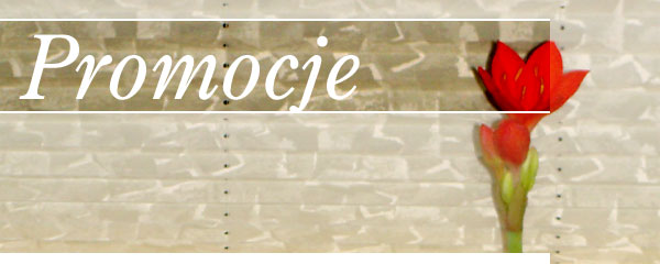 Promocje w salonach dekoracji wnętrz Orzeł